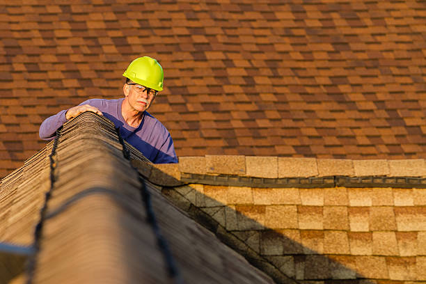 Best Roof Gutter Cleaning  in Leland Grove, IL