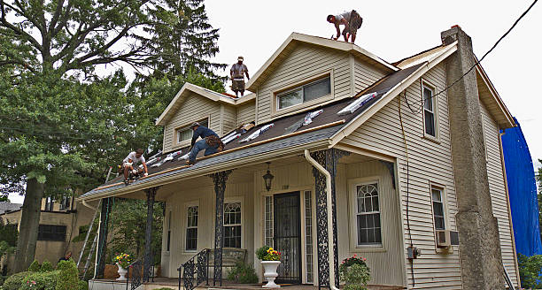 Best Metal Roofing Contractor  in Leland Grove, IL